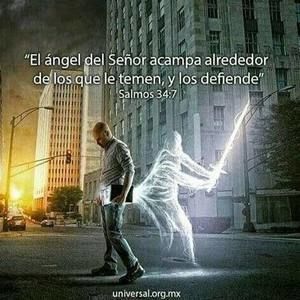 Meet your Posher, Wilfredo